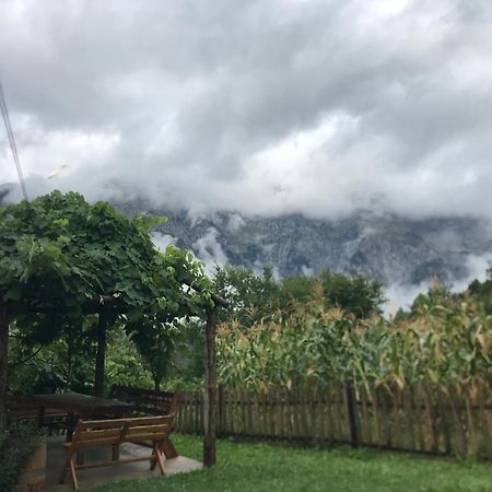Marash Rrgalla Guesthouse Theth Dış mekan fotoğraf