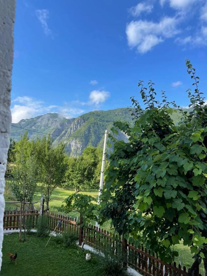 Marash Rrgalla Guesthouse Theth Dış mekan fotoğraf